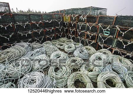Lobster traps and rope on the shores of Newfoundland near Bear Cove; Newfoundland and Labrador, Canada View Large Photo Image Stock Photograph - Lobster traps and rope on the shores of Newfoundland near Bear Cove; Newfoundland and Labrador, Canada. Fotosearch