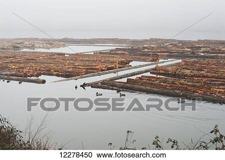 Log booms on the Fraser River; Burnaby British Columbia, Canada View Large Photo Image Stock Image - Log booms on the Fraser River; Burnaby British Columbia, Canada. Fotosearch