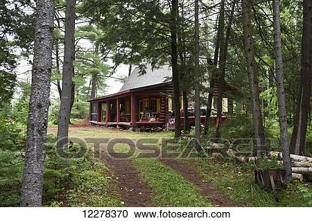 Log cabin in the woods; Lac-des-Neiges, Quebec, Canada View Large Photo Image Stock Image - Log cabin in the woods; Lac-des-Neiges, Quebec, Canada. Fotosearch