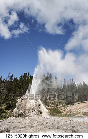 Lone Star Geyser is a cone type geyser located in the Lone Star Geyser Basin of Yellowstone National Park; Wyoming, United States of America View Large Photo Image Stock Photograph - Lone Star Geyser is a cone type geyser located in the Lone Star Geyser Basin of Yellowstone National Park; Wyoming, United States of America. Fotosearch