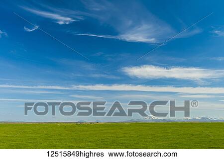 Stock Photograph - Looking across grasslands to Hekla volcano in the distance; Iceland. Fotosearch