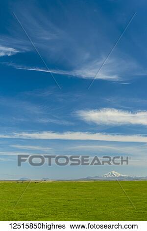 Stock Photograph - Looking across grasslands to Hekla volcano in the distance; Iceland. Fotosearch