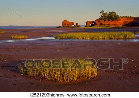 Low tide at North Medford along Minas Basin shoreline at sunset; Nova Scotia, Canada View Large Photo Image Stock Photograph - Low tide at North Medford along Minas Basin shoreline at sunset; Nova Scotia, Canada. Fotosearch