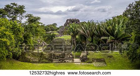 Lush foliage and ruins in a Mayan village; San Jose Succotz, Cayo District, Belize View Large Photo Image Stock Photograph - Lush foliage and ruins in a Mayan village; San Jose Succotz, Cayo District, Belize. Fotosearch
