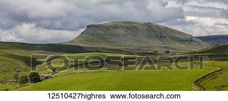 Lush green fields divided by stone walls and Penyghent in Yorkshire Dales National Park; Yorkshire, England View Large Photo Image Stock Photograph - Lush green fields divided by stone walls and Penyghent in Yorkshire Dales National Park; Yorkshire, England. Fotosearch