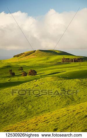 Stock Photograph - Lush, green pasture and cinder cones, North Kohala Mountain; Island Of Hawaii, Hawaii, USA. Fotosearch