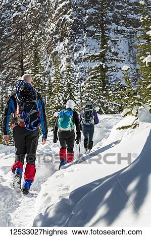 Male and two female snowshoers along a snow-covered trail with snow-covered mountain cliff in the background, Banff National Park; Lake Louise, Alberta, Canada View Large Photo Image Stock Photograph - Male and two female snowshoers along a snow-covered trail with snow-covered mountain cliff in the background, Banff National Park; Lake Louise, Alberta, Canada. Fotosearch