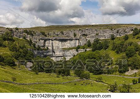 Stock Photograph - Malham Cove, a limestone formation in the Yorkshire Dales; Malham, North Yorkshire, England. Fotosearch