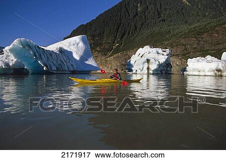 Man Kayaking Among Icebergs On Mendenhall Lake Coast Mtns Tongass National Forest Southeast Ak Summer View Large Photo Image Stock Photo - Man Kayaking Among Icebergs On Mendenhall Lake Coast Mtns Tongass National Forest Southeast Ak Summer. Fotosearch