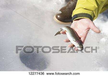Stock Photograph - Man shows his catch while ice fishing on Matanuska Lake in the Matanuska Valley north of Anchorage, Southcentral Alaska, winter. Fotosearch