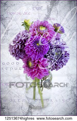 Marbled purple dahlia's arranged in a glass jar with Philippians 4: 8 written in the background, and the word 'lovely' written over the flowers View Large Photo Image Stock Photograph - Marbled purple dahlia's arranged in a glass jar with Philippians 4: 8 written in the background, and the word 'lovely' written over the flowers. Fotosearch