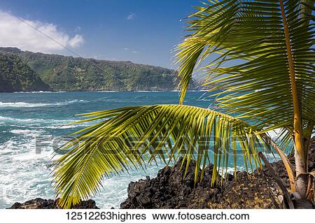 Stock Photograph - Maui's lush East side cliffs along the road to Hana; Keanae, Maui, Hawaii, United States of America. Fotosearch