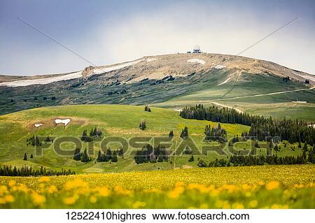 Medicine Wheel, Medicine Mountain National Historic Landmark; Lovell, Wyoming, United States of America View Large Photo Image Stock Photograph - Medicine Wheel, Medicine Mountain National Historic Landmark; Lovell, Wyoming, United States of America. Fotosearch