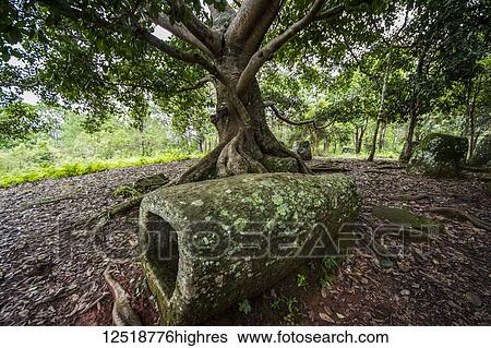 Megalithic stone jars at Site 2, Plain of Jars; Xiangkhouang, Laos View Large Photo Image Stock Photograph - Megalithic stone jars at Site 2, Plain of Jars; Xiangkhouang, Laos. Fotosearch