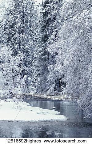 Merced River blanketed with snow, Yosemite National Park; California, United States of America View Large Photo Image Stock Photograph - Merced River blanketed with snow, Yosemite National Park; California, United States of America. Fotosearch