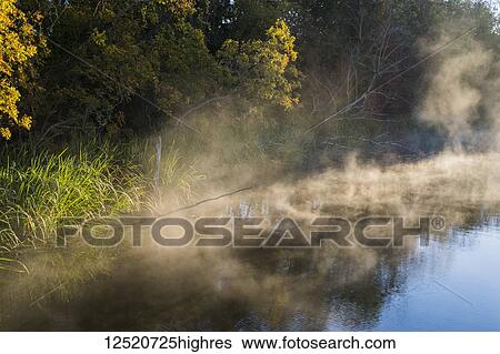 Mist rises from the water of a lake in Sequoyah National Wildlife Refuge; Vian, Oklahoma, United States of America View Large Photo Image Stock Photograph - Mist rises from the water of a lake in Sequoyah National Wildlife Refuge; Vian, Oklahoma, United States of America. Fotosearch
