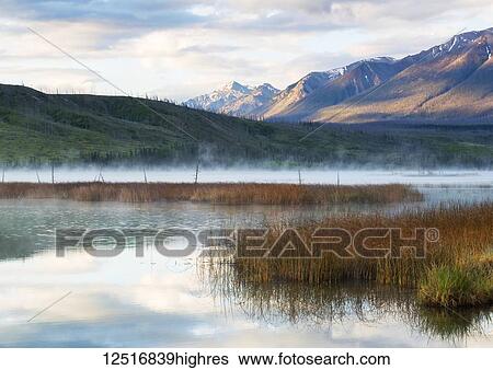Mist rising over an alpine lake in the early morning, Jasper National Park; Jasper, Alberta, Canada View Large Photo Image Stock Photograph - Mist rising over an alpine lake in the early morning, Jasper National Park; Jasper, Alberta, Canada. Fotosearch