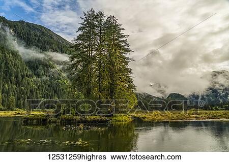 Moody landscape of low cloud over the Great Bear Rainforest; Hartley Bay, British Columbia, Canada View Large Photo Image Stock Photograph - Moody landscape of low cloud over the Great Bear Rainforest; Hartley Bay, British Columbia, Canada. Fotosearch