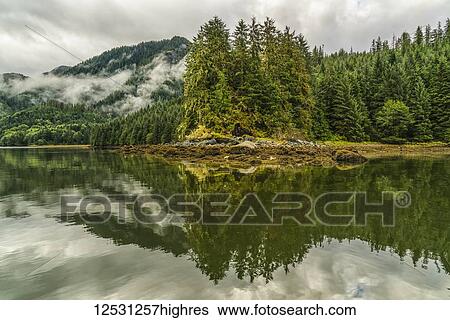 Stock Photograph - Moody landscape of mist over the Great Bear Rainforest; Hartley Bay, British Columbia, Canada. Fotosearch