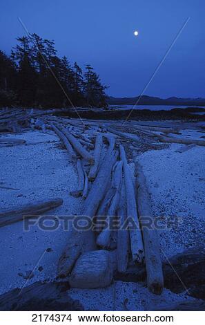 Moon Over Beach @ Delong Is Misty Fjords Nm Se Alaska Summer Scenic View Large Photo Image Picture - Moon Over Beach @ Delong Is Misty Fjords Nm Se Alaska Summer Scenic. Fotosearch