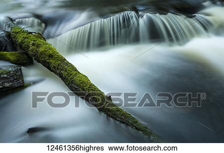 Mossy log and small waterfall, Liscomb Game Sanctuary; Nova Scotia, Canada View Large Photo Image Stock Photograph - Mossy log and small waterfall, Liscomb Game Sanctuary; Nova Scotia, Canada. Fotosearch