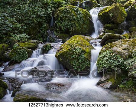 Stock Photograph - Motion blur of water flowing over rocks covered in moss and foliage; Bhalu Khop Village, Sikkim, India. Fotosearch