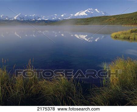 Mt Mckinley Reflected In Wonder Lake Morning In Ak Denali Np Autumn View Large Photo Image Stock Photo - Mt Mckinley Reflected In Wonder Lake Morning In Ak Denali Np Autumn. Fotosearch