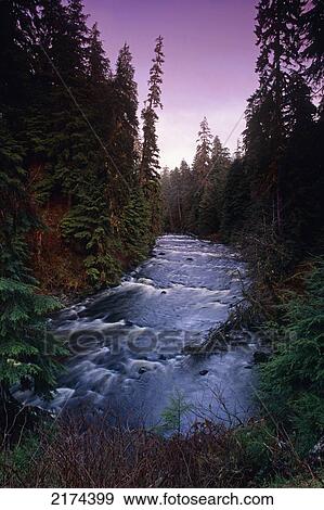 Naha River Revillagigedo Isl Southeast Ak Fall Scenic View Large Photo Image Stock Photo - Naha River Revillagigedo Isl Southeast Ak Fall Scenic. Fotosearch