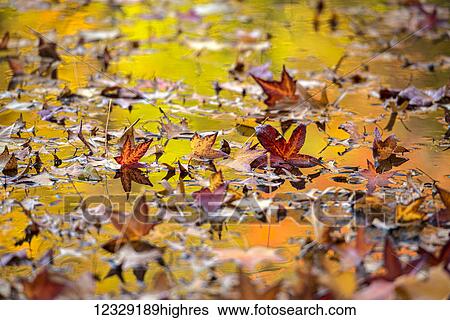 Stock Photograph - Nature. Fotosearch