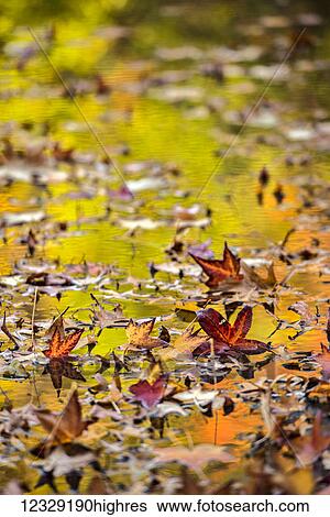 Nature View Large Photo Image Stock Photograph - Nature. Fotosearch