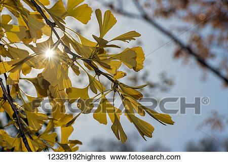 Nature View Large Photo Image Stock Photograph - Nature. Fotosearch
