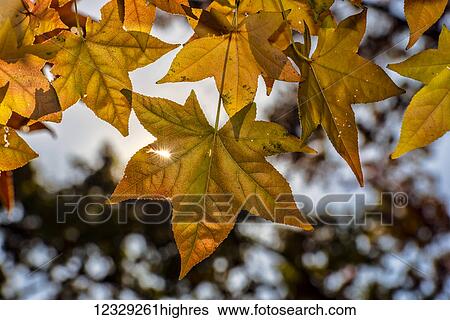Nature View Large Photo Image Stock Photograph - Nature. Fotosearch