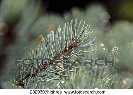 Stock Photograph - Nature. Fotosearch