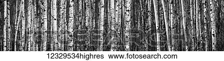 Nature View Large Photo Image Stock Photograph - Nature. Fotosearch