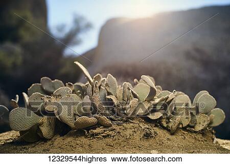 Stock Photograph - Nature. Fotosearch