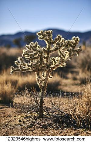 Stock Photograph - Nature. Fotosearch