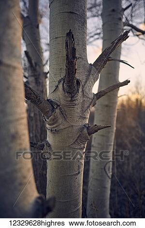 Nature View Large Photo Image Stock Photograph - Nature. Fotosearch