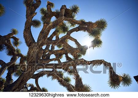 Nature View Large Photo Image Stock Photograph - Nature. Fotosearch