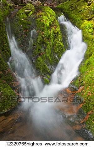Stock Photograph - Nature. Fotosearch