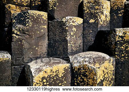 Stock Photograph - Nature. Fotosearch