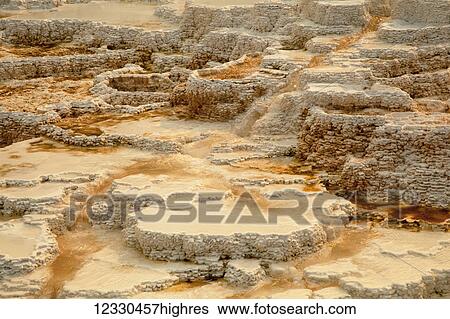 Stock Photograph - Nature. Fotosearch