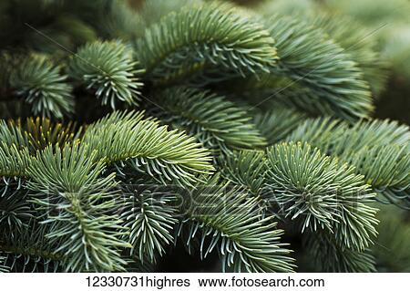 Nature View Large Photo Image Stock Photograph - Nature. Fotosearch
