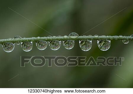 Stock Photograph - Nature. Fotosearch