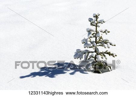 Stock Photograph - Nature. Fotosearch