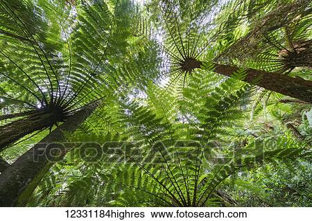 Stock Photograph - Nature. Fotosearch