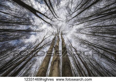 Nature View Large Photo Image Stock Photograph - Nature. Fotosearch