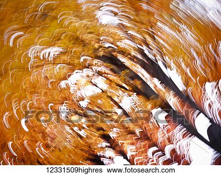 Stock Photograph - Nature. Fotosearch