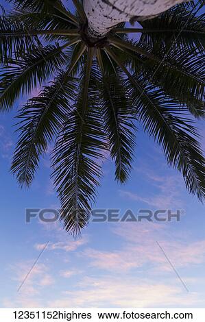Stock Photograph - Nature. Fotosearch