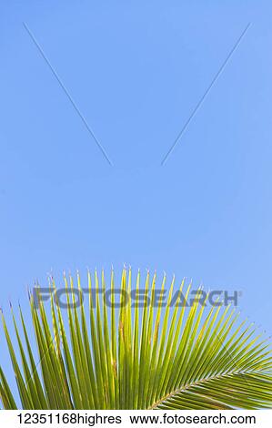 Stock Photograph - Nature. Fotosearch