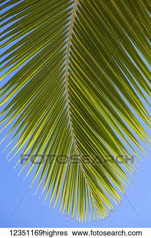 Stock Photograph - Nature. Fotosearch
